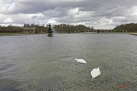 Cjp_2010_03_31_120949 (1).jpg